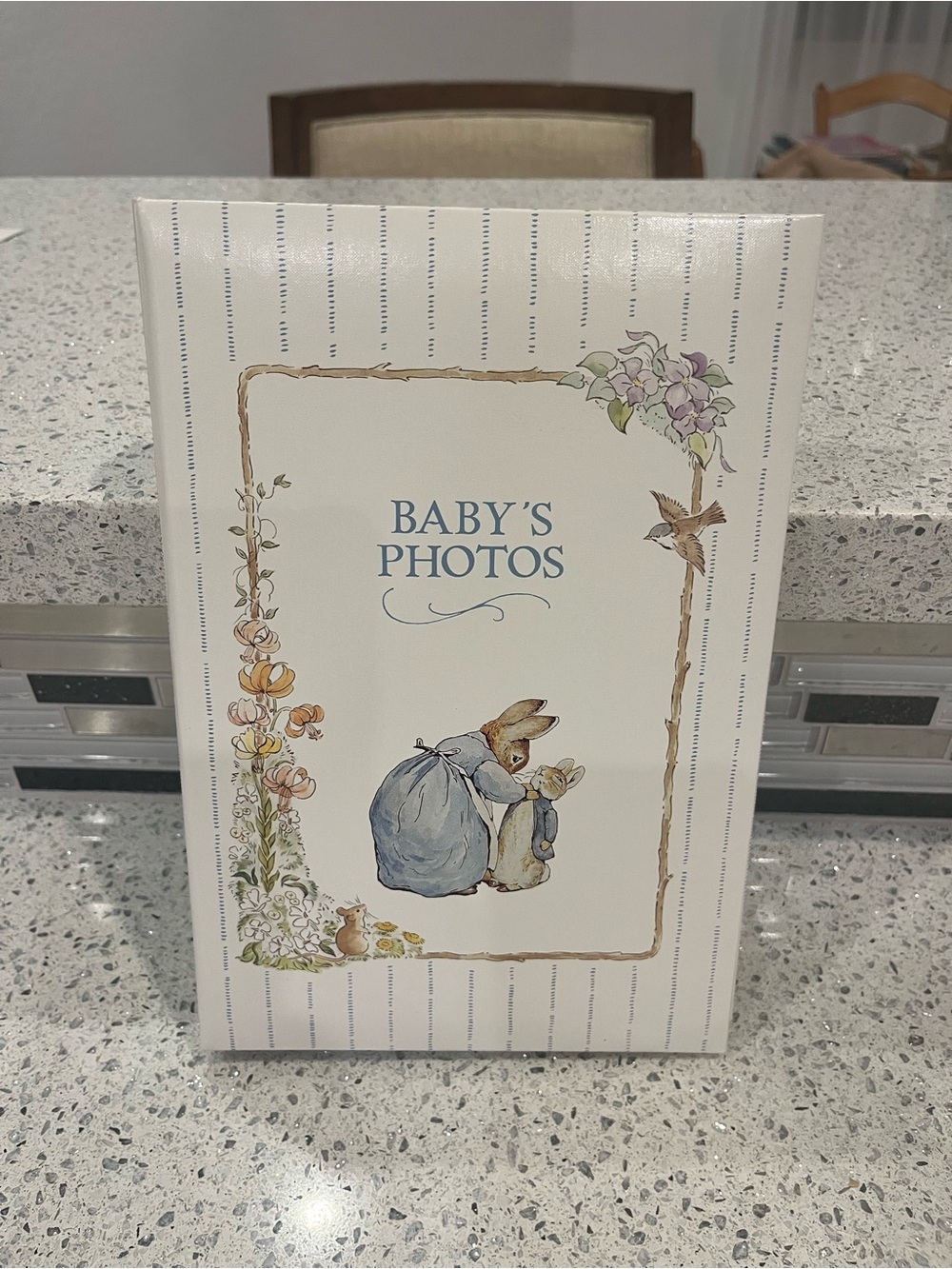 Vintage Peter Rabbit Photo Album
